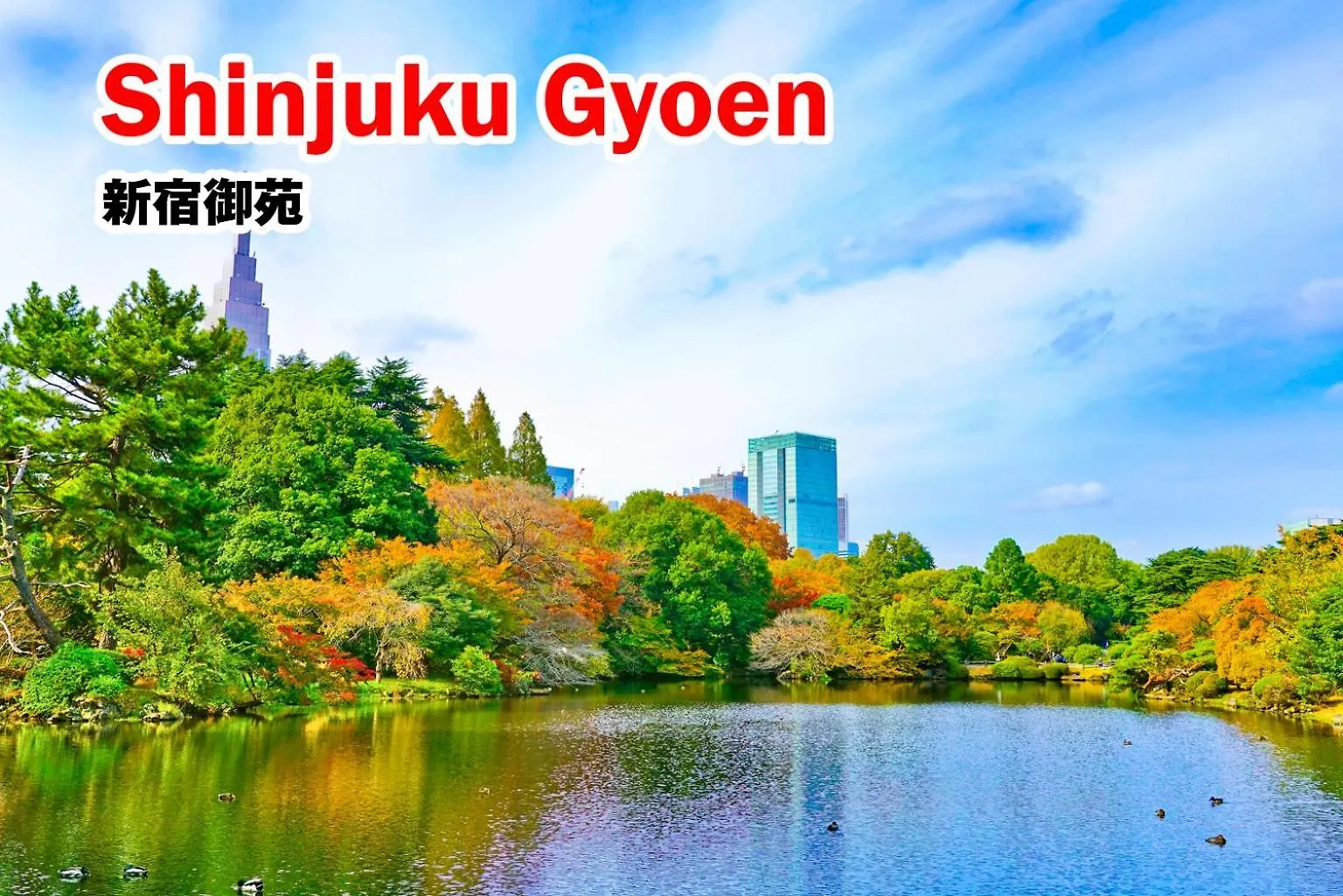 Apartmán Sc Shinjuku 102 Prefektura Tokio